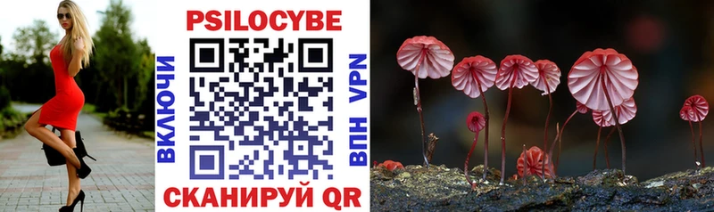 Купить  Дубна  Псилоцибиновые грибы прущие грибы 