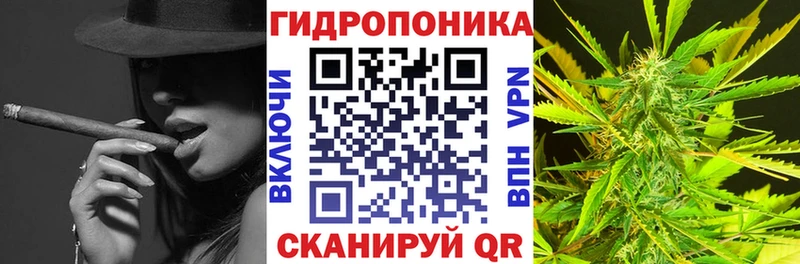 Шишки марихуана конопля  Купить  Дубна 